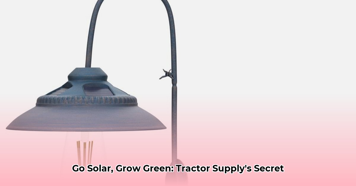 solar-lights-tractor-supply